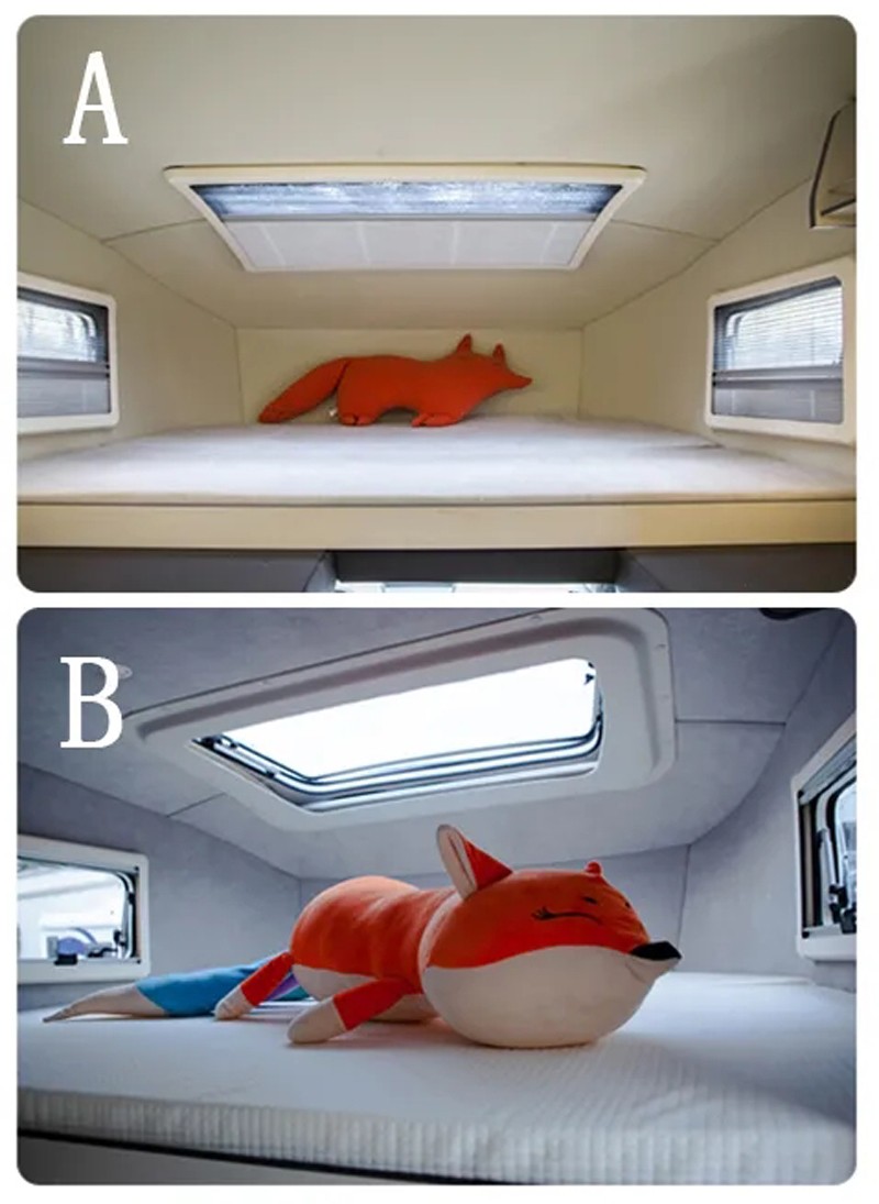 哪款自由炮和您更般配？