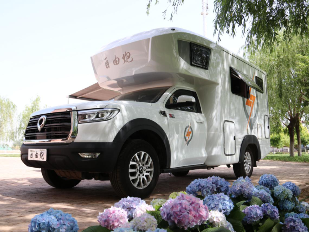 為自由著色！紅、白、藍(lán)、棕，你選哪一種？