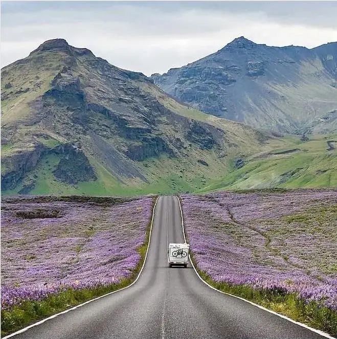 成年人不做選擇題，自由與安穩(wěn)我都要！