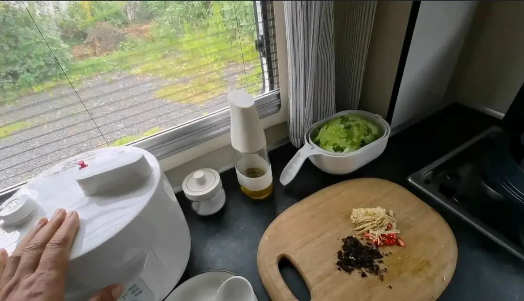 58歲的她，自駕房車旅居，一人兩犬，活成了自己喜歡的樣子